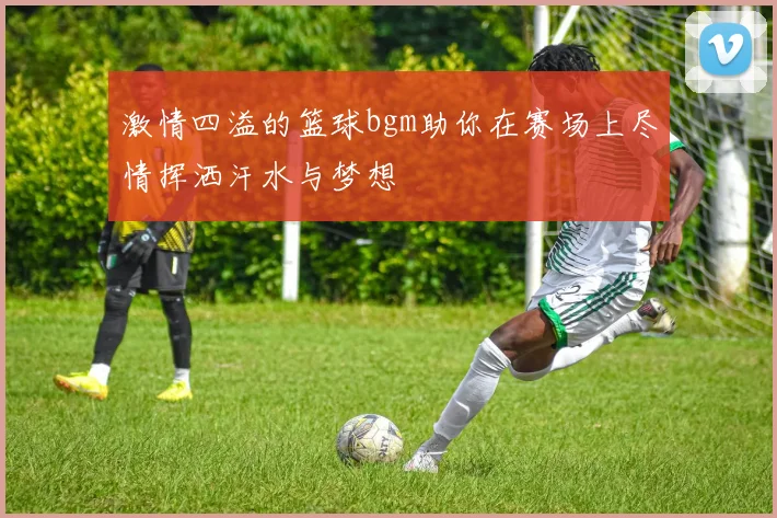 激情四溢的篮球bgm助你在赛场上尽情挥洒汗水与梦想