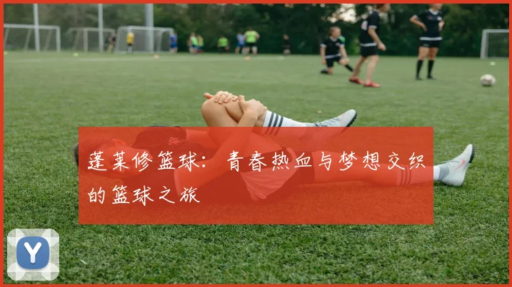 蓬莱修篮球：青春热血与梦想交织的篮球之旅