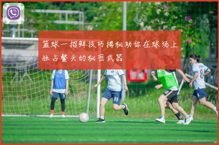 篮球一招鲜技巧揭秘助你在球场上独占鳌头的秘密武器