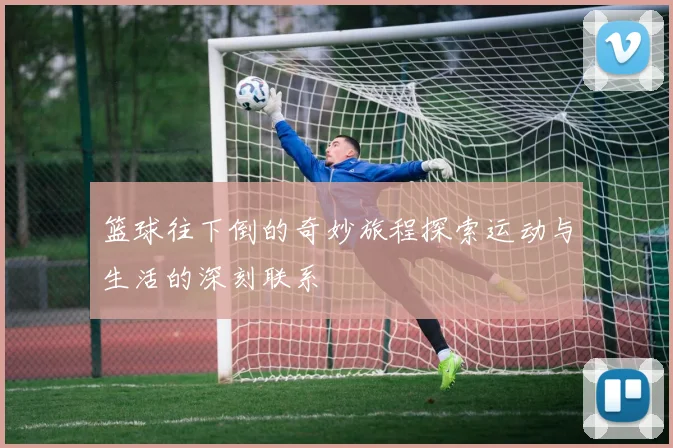 篮球往下倒的奇妙旅程探索运动与生活的深刻联系